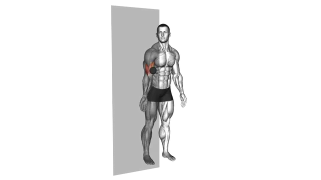 Roll Ball Bicep Brachii exercise demonstration