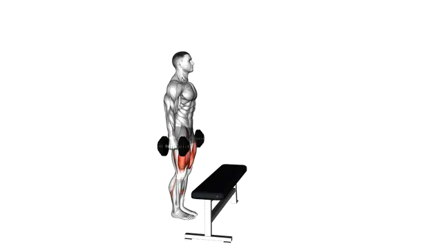 Dumbbell Step up with Knee Raise exercise demonstration