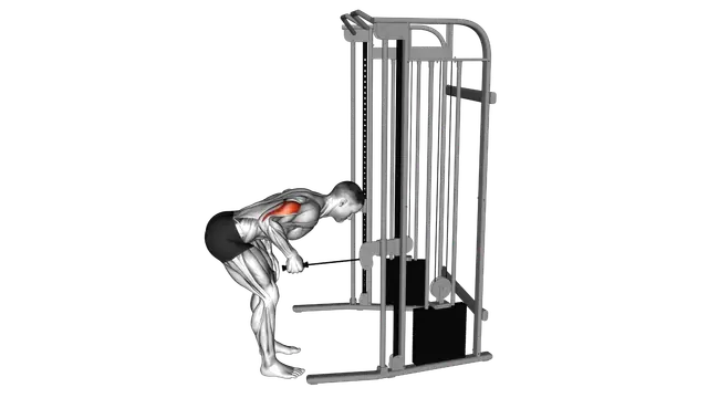 Cable Neutral Grip Kickback exercise demonstration
