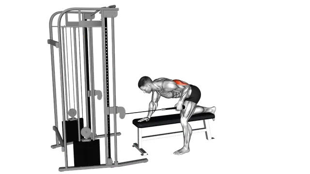 Cable Bent Over Single Arm Neutral Grip Kickback with Rope Attachment exercise demonstration
