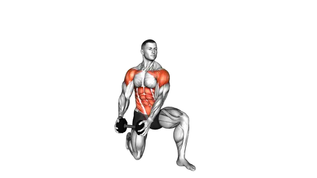 Dumbbell Half Kneeling Lift and Chop exercise demonstration