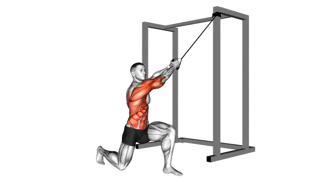 Band Half Kneeling Chop exercise demonstration