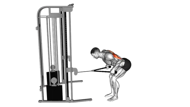 Cable Bent Over Neutral Grip Kickback with Rope Attachment exercise demonstration