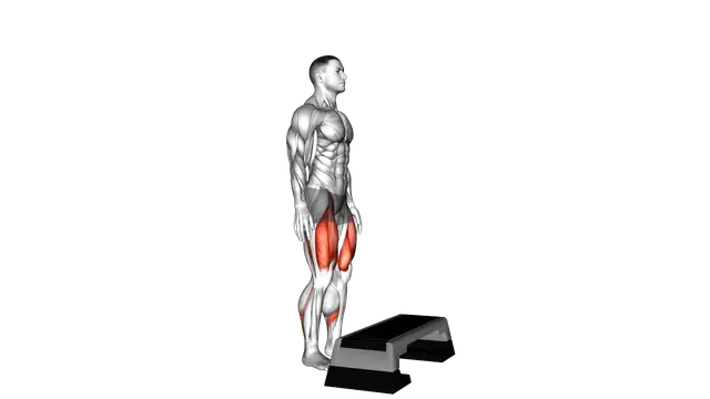 Bodyweight Step up on Stepbox exercise demonstration