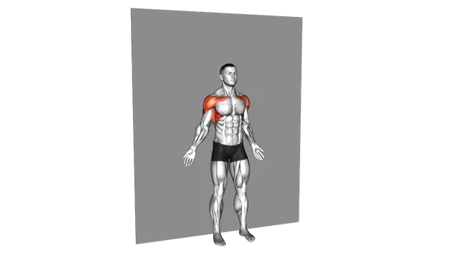 Bodyweight Standing Around World Wall Supported exercise demonstration