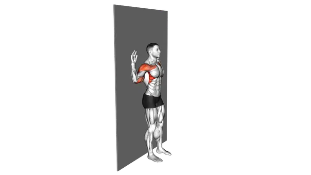 Bodyweight Standing Military Press Wall Supported exercise demonstration