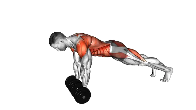 Dumbbell Front Plank Arm Leg Raise exercise demonstration