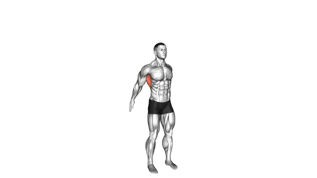 Dynamic Back Stretch exercise demonstration