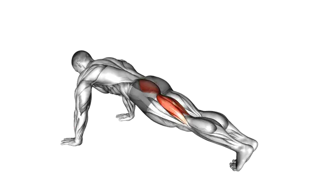 Hip Extension Stretch exercise demonstration