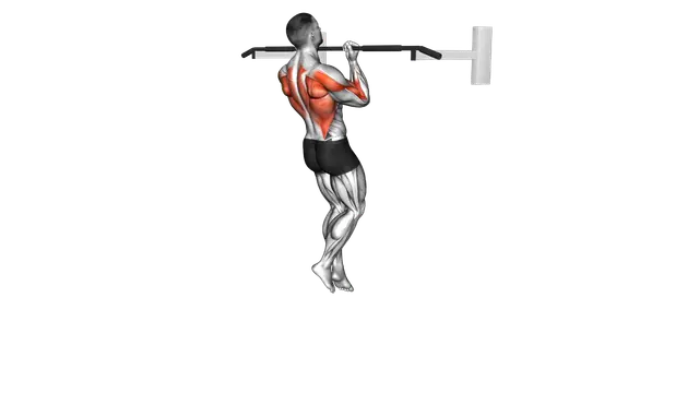 Chin up (izometric and negative) exercise demonstration