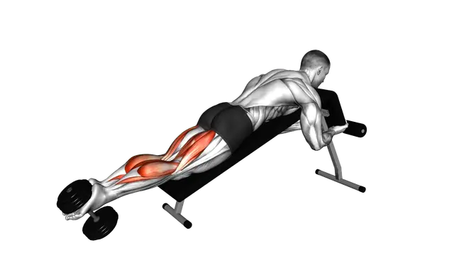 Dumbbell Decline Lying Leg Curl exercise demonstration