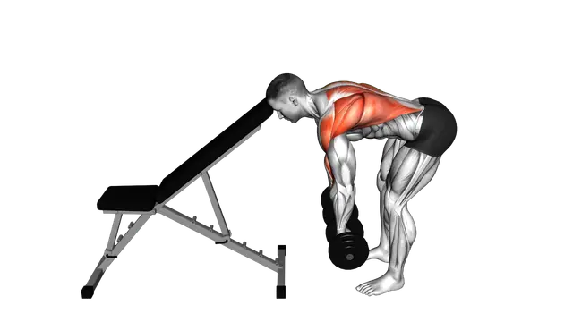 Dumbbell Head Supported Row exercise demonstration