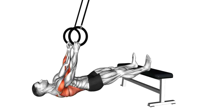 Ring Elevated Row exercise demonstration