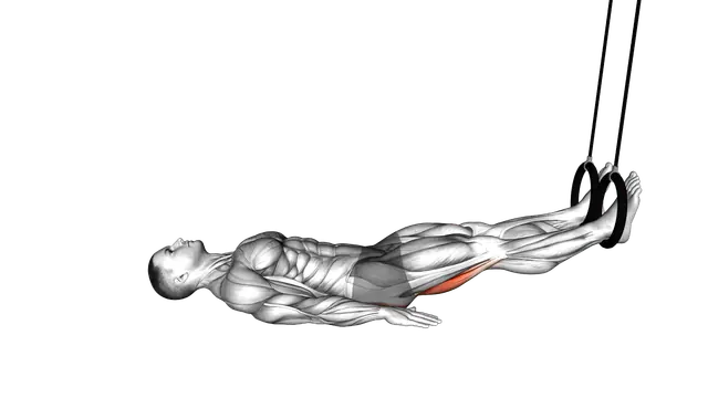 Ring Leg Curl exercise demonstration