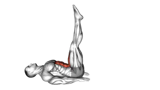 Alternate Leg Raise exercise demonstration