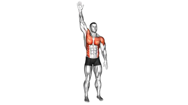 Standing Swimmer exercise demonstration