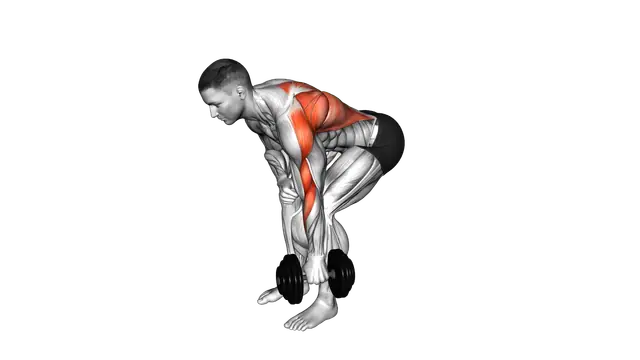 Dumbbell Single Arm Bent Over Row exercise demonstration