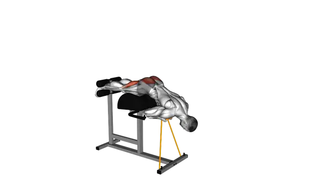 Banded Glute Ham Raise exercise demonstration