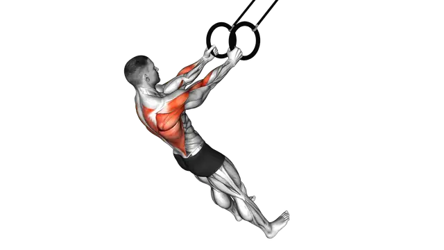 Ring High Row exercise demonstration