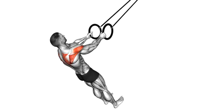 Ring Reverse Fly exercise demonstration