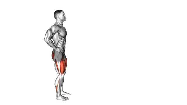 Bodyweight Forward Lunge (Smaller Stance Upright Torso) exercise demonstration