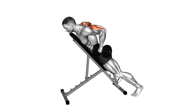 Dumbbell Prone Triceps Kickback exercise demonstration