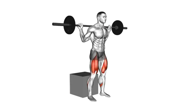 Barbell Box Squat exercise demonstration