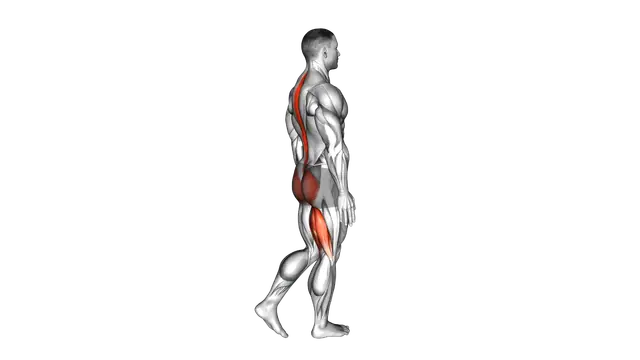 Bodyweight Single Leg RDL exercise demonstration