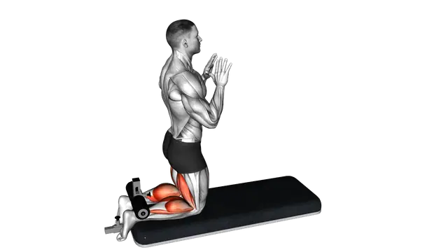 Inverse Leg Curl with Bench Pads exercise demonstration