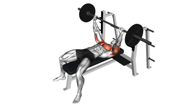 Barbell Pause Bench Press exercise demonstration