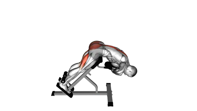 Weighted Hyperextension exercise demonstration