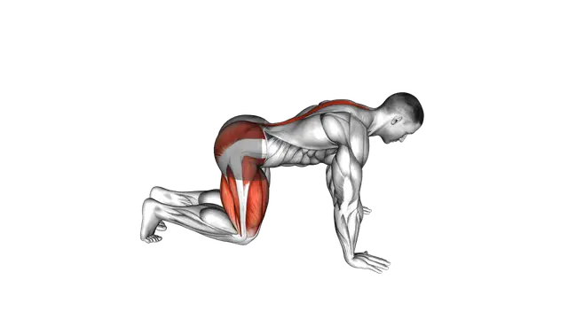 Kneeling Forward Hip Circles exercise demonstration