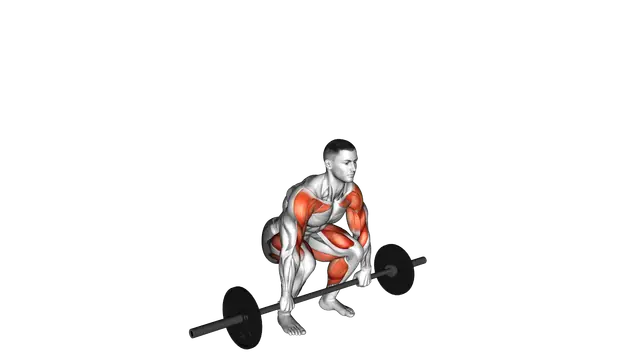 Barbell Muscle Clean exercise demonstration