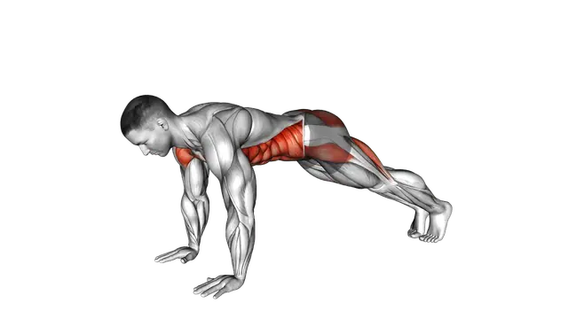 Alternate Single Leg Raise Plank exercise demonstration