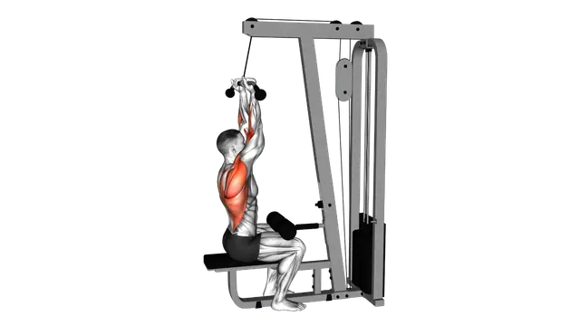 Cable Reverse Grip Pulldown exercise demonstration