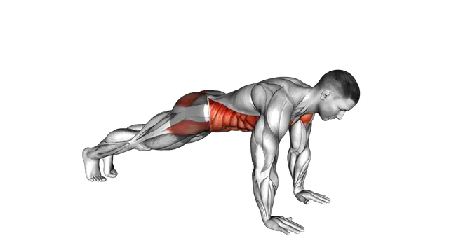 Plank on Hands exercise demonstration