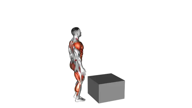 Single Leg Box Jump exercise demonstration
