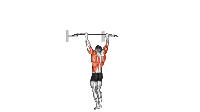 Bodyweight Muscle Up exercise demonstration
