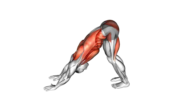 Downward Dog exercise demonstration