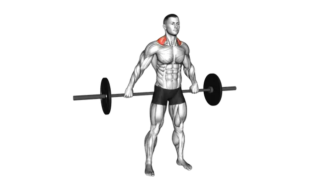 Barbell Back Wide Shrug exercise demonstration