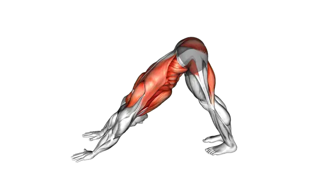 Alternating Leg Downward Dog exercise demonstration