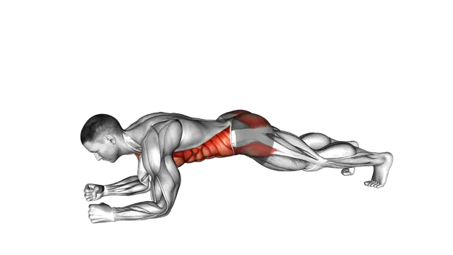 Plank Shoulder Tap exercise demonstration