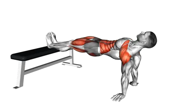 Bench Dip Hold exercise demonstration