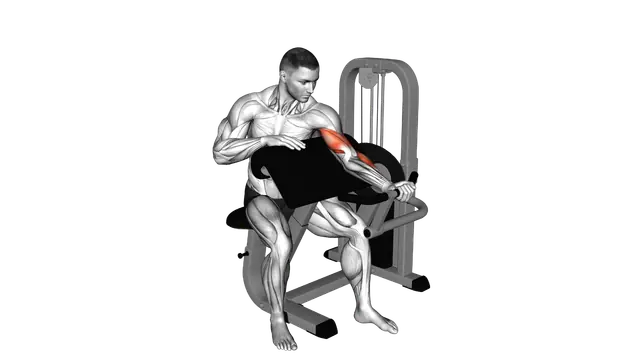 Lever Preacher Curl (Turned Torso) exercise demonstration