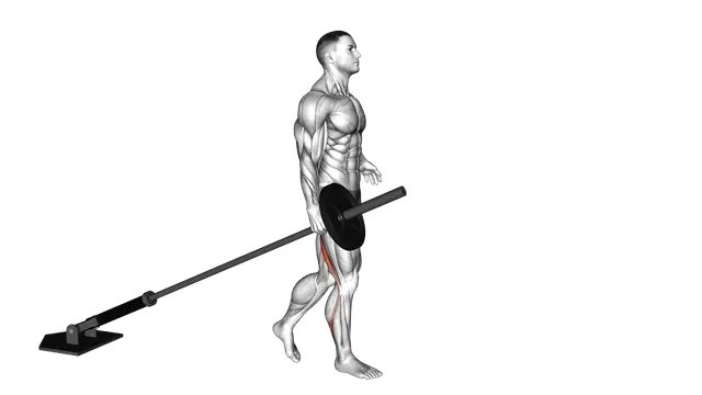 Landmine One Leg Stiff Leg Deadlift exercise demonstration
