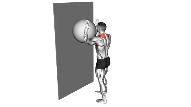Exercise Ball Serratus Wall Slide exercise demonstration