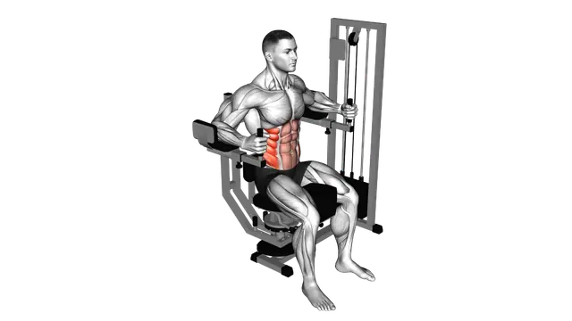 Lever Trunk Rotation exercise demonstration