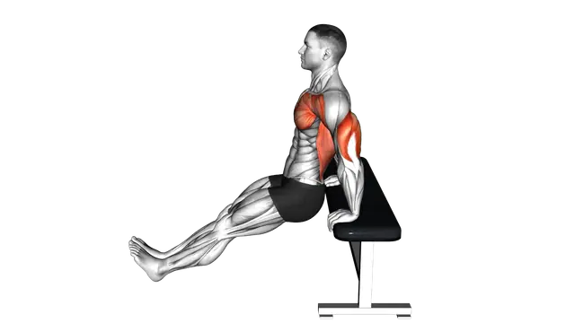 Chest Dip on Bench exercise demonstration