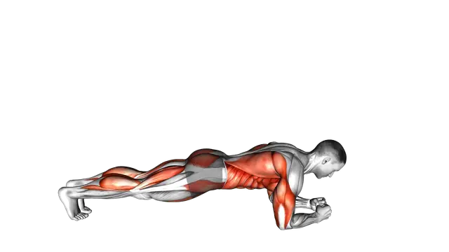 Front Plank with Arm and Leg Lift exercise demonstration
