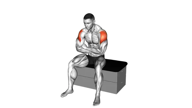 Seated Learning Back Stretch exercise demonstration